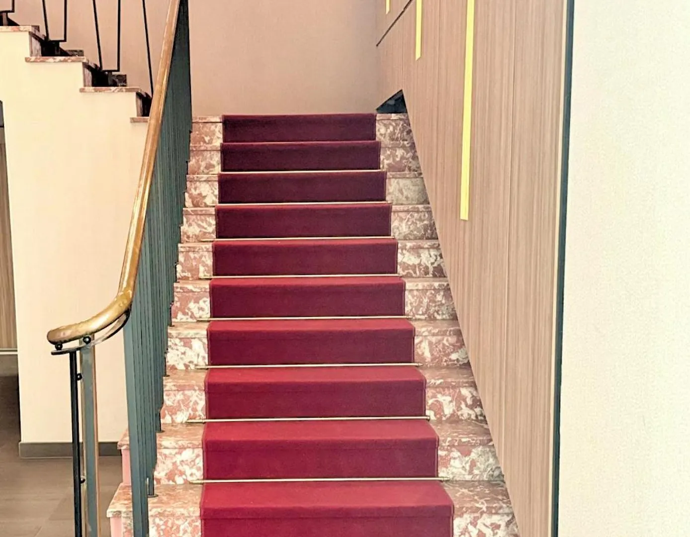 Apartment Au Coeur De Toulouse Appartement Colore